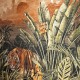 Silk Road Garden | 72000 | Expedition